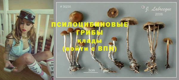 марки lsd Козельск