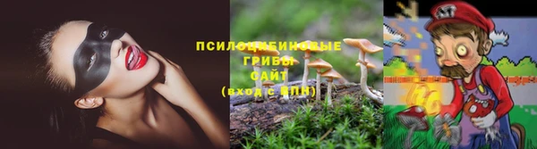 дурь Аркадак