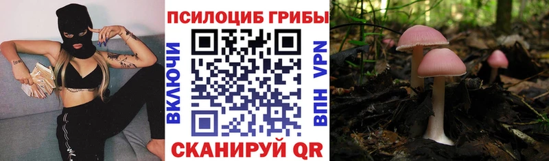 Галлюциногенные грибы GOLDEN TEACHER  Краснослободск 